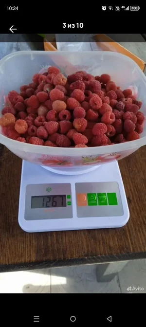 Домашние заготовки