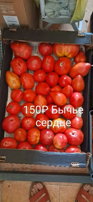 Помидоры разные