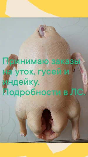 Индейка