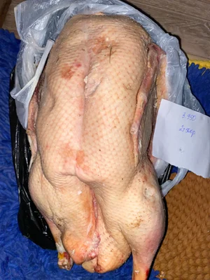 Гусь
