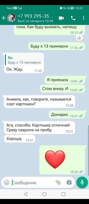 Картофель