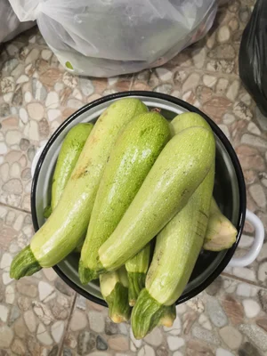 Кабачки