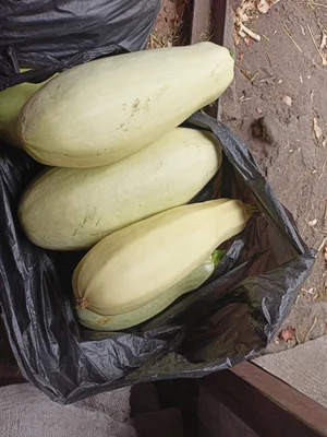 Кабачки