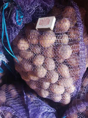 Беби картофель