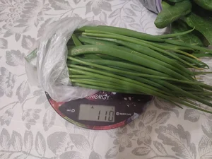 Шпинат