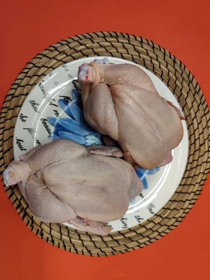 Курочки бройлерные