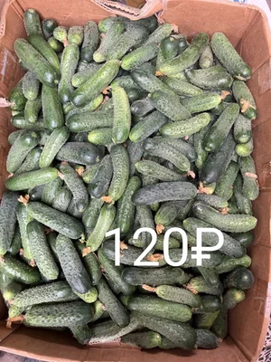 Огурцы