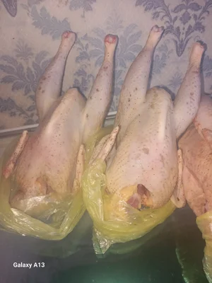 Бульонные курочки,для наваристого бульона