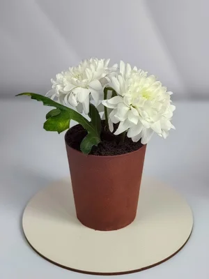 Тематические бенто торты