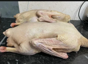 Гусь