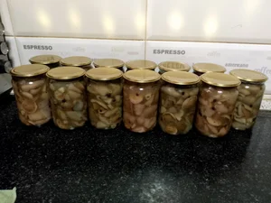 Маринованные маслята