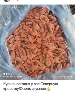 Форель охлажденная потрошеная