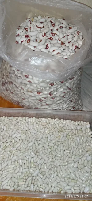 Чеснок