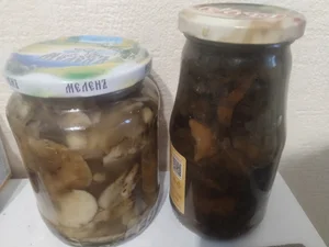 Опята осенние маринованные