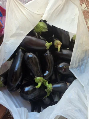 Черри