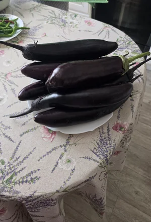 Баклажаны