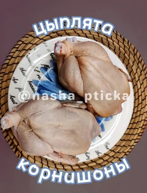 Мясо молодых перепелов
