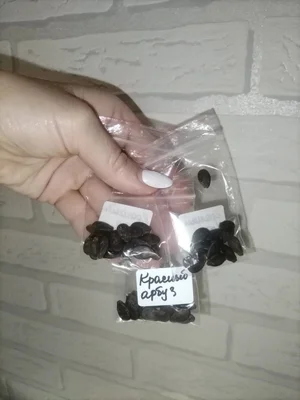 Фасоль