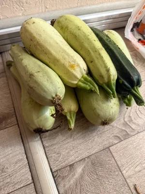 Кабачки