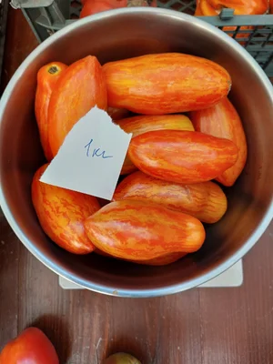 Огурцы