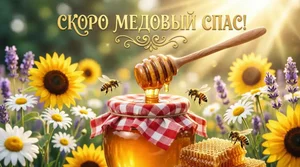 Мед
