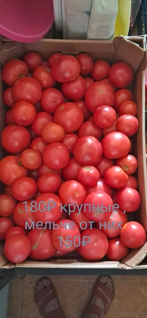 Помидоры разные