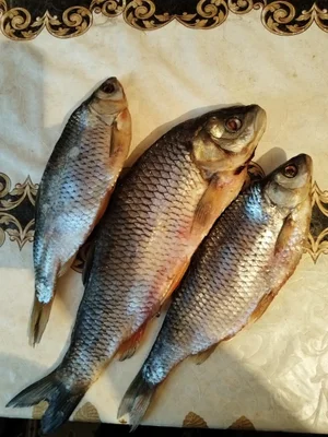Вяленая рыба крупная