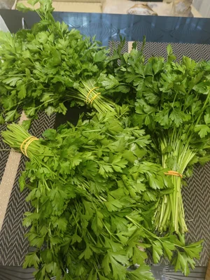 Кабачки