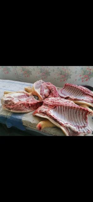 Свинина (передняя часть)