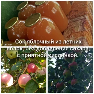 Яблочки райские