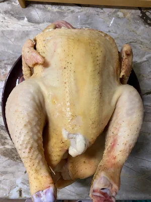 Курица