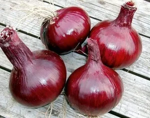 Картофель