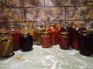 Домашние гуси