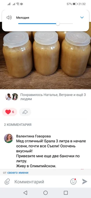 Алтайский мед