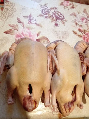 Яйцо куриное