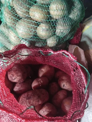 Картофель