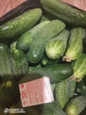 Огурчики