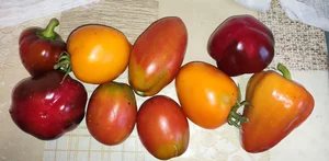 Картофель