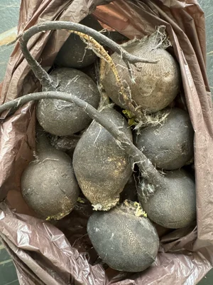 Квашеная капуста