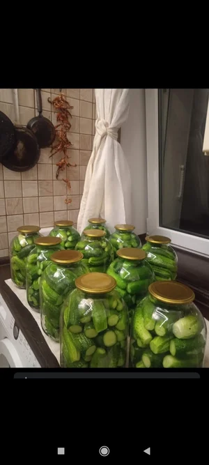 Пирожки с мясом