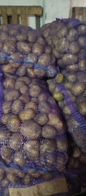 Картофель Пикассо и Дамарис