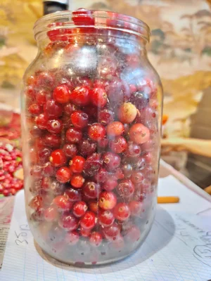 Клюква