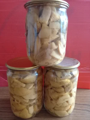 Маринованные грибы вешенки летние