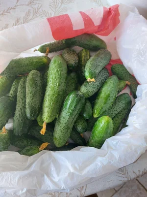 Огурцы