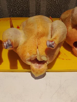 Курица
