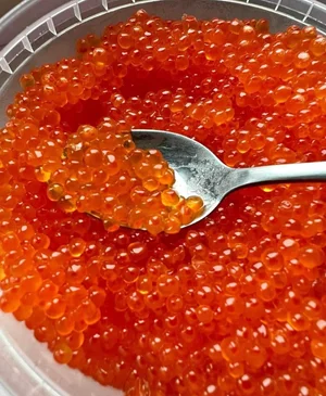 Форель охлажденная потрошеная