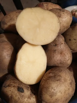 Картофель