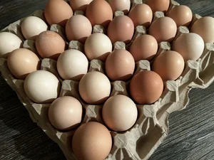 Куриные яйца