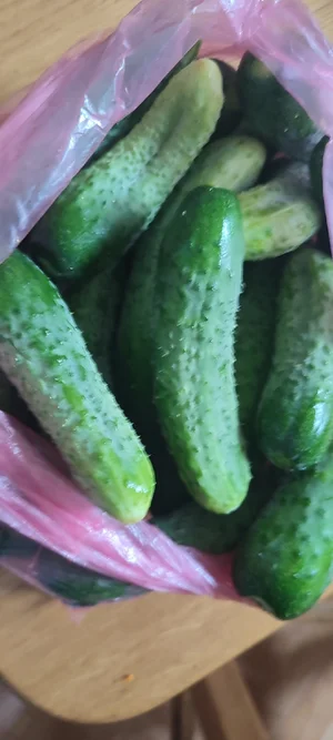 Огурцы