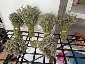 Чабрец